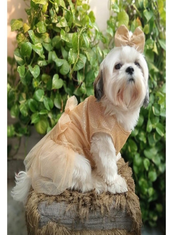 Lulala Dog Dress for Girls Dogs and Cats - Golden Glitter Party Gown with Tulle Skirt, Bow and Headband | Fancy Pet Dress for Weddings, Birthdays, Photoshoots and Special Occasions - Image 4